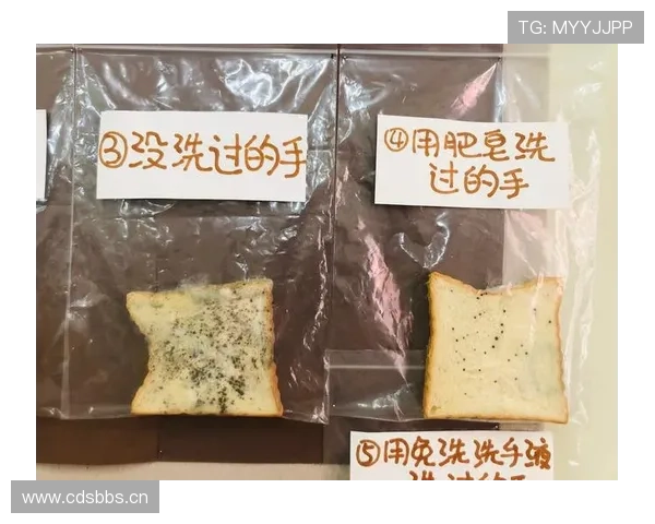 安赛龙半夜去买面包，手上那双鞋的价钱够我吃三年