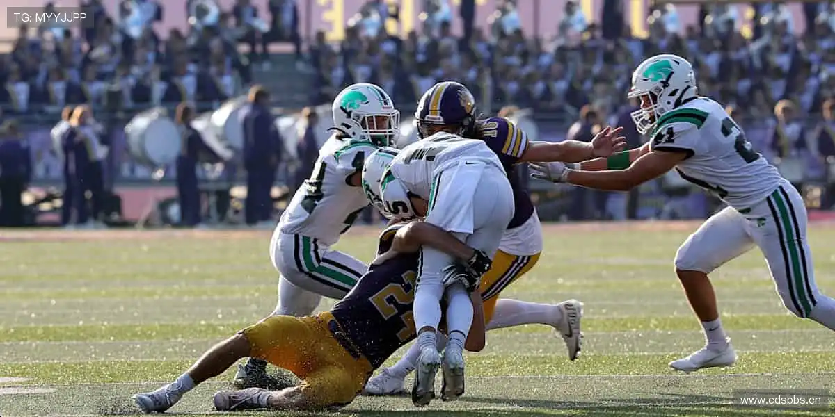 🎮限量周边，收藏首选！🎁